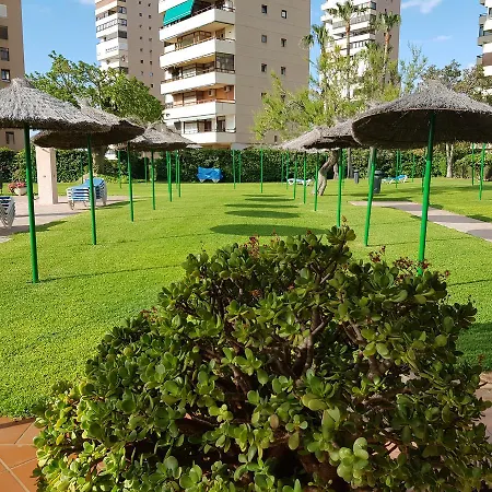 Apartment Luxury House 110 M2 On The Beach, Pool, Parking *