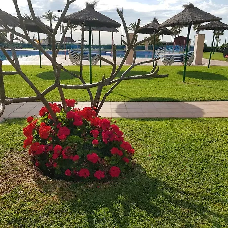Luxury House 110 M2 On The Beach, Pool, Parking شقة *